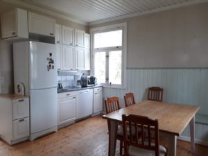 Kitchen Picture 2